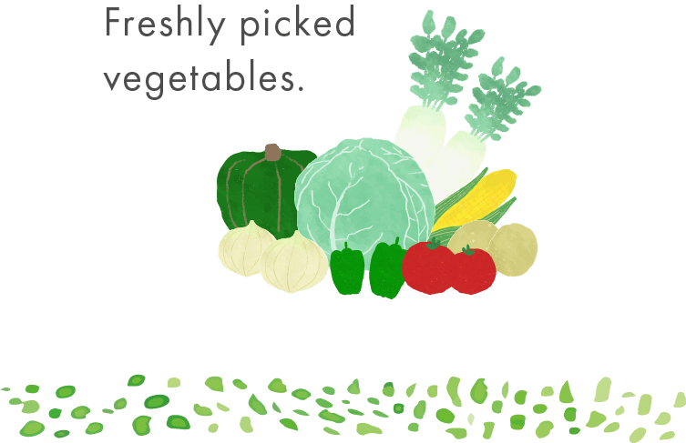 Freshly picked vegetables.