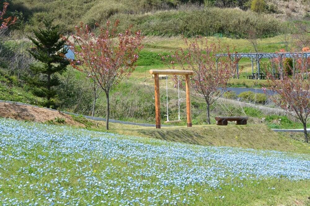 A swing stood in front of a field of blue flowers