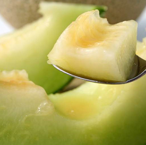 Melon (muskmelon)